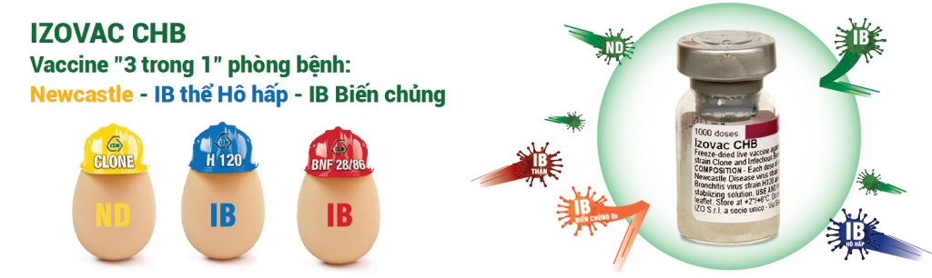 Thảo dược chăn nuôi – HERBALVET