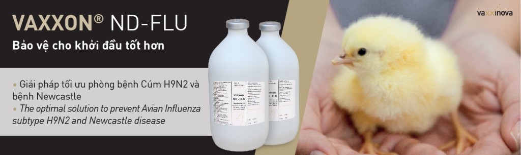 Thảo dược chăn nuôi – HERBALVET