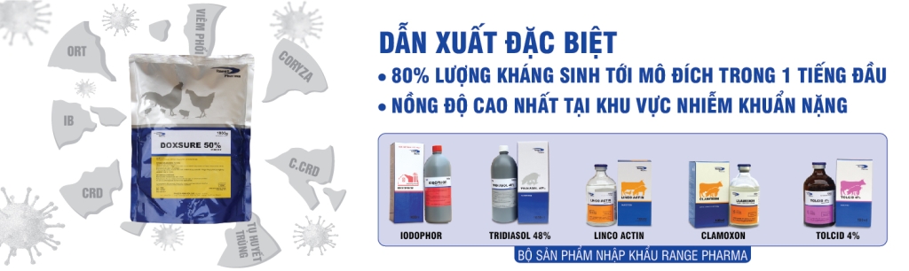 Thảo dược chăn nuôi – HERBALVET