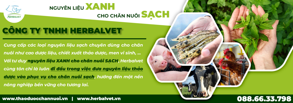 Thảo dược chăn nuôi – HERBALVET